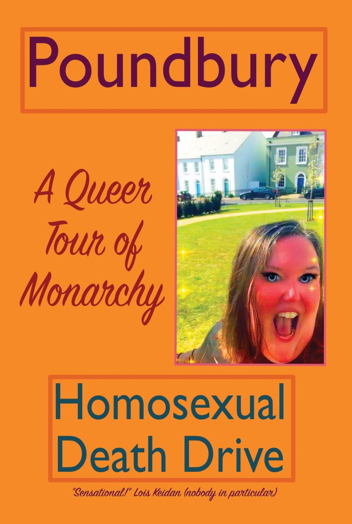 Colourful cover image for Poundbury: A Queer Tour of Monarchy by Homosexual Death Drive. It features a photograph of Homosexual Death Drive looking out of control in a bland Poundbury square, with a Disney Princess filter. There are houses and a car in the background and the colours are super-saturated.