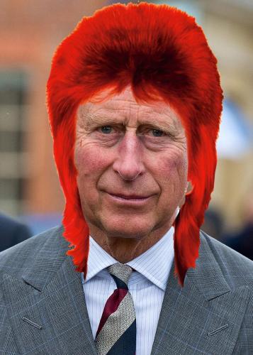 Photoshopped image of Charles with Ziggy Stardust hair