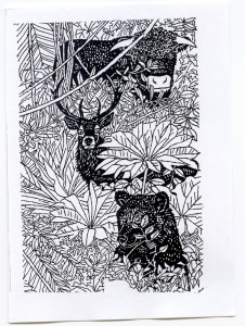 Black and white illustration by Stewart Irwin